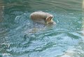 20 - ... unter Wasser ...